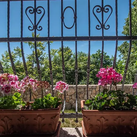 Nevita Villa *